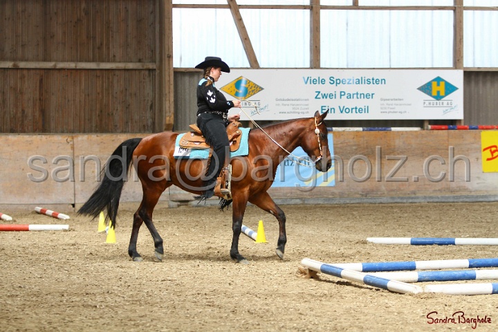 28-ApHC OT_333.jpg